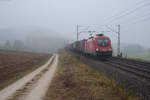 1116 279 mit einem KLV-Zug bei Parsberg Richtung Regensburg, 04.11.2016