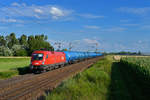 1116 080 mit einem Kesselzug am 18.07.2016 bei Plattling.