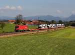 Die 1116 185 mit einem LKW Zugmaschinen Zug am 16.10.2016 unterwegs bei Straß.