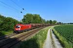 1116 087 mit einem Güterzug am 13.06.2019 bei Langenisarhofen.