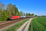 1116 179 mit einem Kesselzug am 22.04.2020 bei Langenisarhofen.