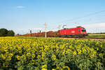 1116 076-1 bringt einen Holzganzzug von Breclav nach Spielfeld-Straß, bei Wien Süßenbrunn, am frühen Abend des 21.07.2020.