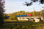 1116 141 auf der Fahrt von Absdorf-Hippersdorf nach Tulln.