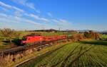 1116 264 mit einem leeren Autozug am 28.10.2021 bei Amersberg.