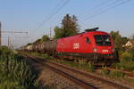 Der Bahnhof Mitterndorf-Moosbrunn an der Pottendorfer Linie liegt idyllisch im  wuchernden  Grün der 3059 Einwohner zählenden Gemeinde Mitterndorf an der Fischa.