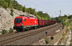 1116 121-3 (Siemens ES64U2) transportiert Hochbordwagen bei Szár (HU) Richtung Heimatland.