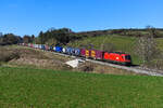 Am 09. März 2024 konnte ich den ÖBB Taurus 1116.059 vor einem KLV-Zug südwärts fahrend bei Fahlenbach in der Hallertau fotografieren. Ziel und Laufweg der bunt beladenen Leistung ist mir leider unbekannt. 