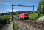 1116 204-7 mit Railjet auf der Fahrt von Lausanne nach Bern.