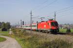 1116 019 hat hier gerade den Bahnhof Strawalchen mit einem OEC Richtung Wien passiert.