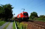 1116 233 der ITL durchfhrt am 27.07.09 Dresden-Stetzsch Richtung Friedrichstadt.