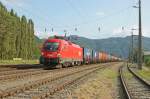 1116 119 bespannte am 8.9.2009 einen bunten Container Ganzzug Richtung Bruck a.d.