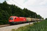 6.7.09 1116 175 mit dem SGAG 48085 von Breclav nach Krems an der Donau bei Drnkrut.