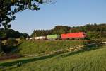 1116 233 mit einem Gterzug zwischen Rekawinkel und Eichgraben-Altlengbach am spten Nachmittag des 20.07.2010.