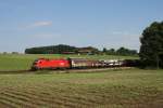 1116 27x mit einem gemischten Gterzug am 10.08.2010 bei Grokarolinenfeld.