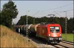 Dann an der Fotostelle angekommen erfreute uns 1116 195 mit Top Licht und einem Kesselzug.