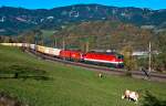 1144 222 an der Spitze dieses Ganzzuges, die Fotografen hat's gefreut, die Khe nahmen es eher gelassen hin;-)  Apfelwiese  am 22.10.2010.