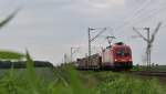 hier 1116 134 -6 Nhe Plattling am 02.06.2011 .