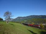 Eine 1142 und eine 1116 mit einem gemischten Gterzug an der berhmten Apfelwiese, aufgenommen am 24.10.09.