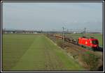 Ein Autotransportleerzug bespannt mit 1116 236 kurz nach Ebenfurth am 15.4.2006