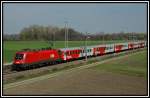 Ein  Ochse  mit einem Regionalzug auf dem Weg nach Ebenfurt, aufgenommen kurz nach Wampersdorf am 15.4.2006