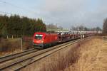 1116 109 mit einem Autozug am 28.12.2011 bei Grokaronlinenfeld.