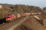 1116 109 mit einem gemischten Gterzug am 15.03.2012 bei Laaber.