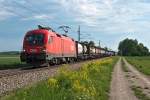 1116 137, am 12.05.2012 vormittags kurz nach Tulln Stadt, unterwegs in Richtung St. Plten.