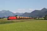 1116 133 mit einem Gterzug am 16.06.2012 bei Bernau.