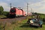 Die Gumpoldskirchner Weinbauern interessieren sich auf fr Zge. 1116 182 fuhr mit dem R 2311  EVN Energieexpress  von Breclav nach Wiener Neustadt Hauptbahnhof kurz nach dem  Busserltunnel  ihren nchsten Halt Baden entgegen; am 30.07.2012