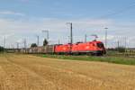 1116 072 + 1116 131 mit einem Audizug am 04.08.2012 in Regensburg Ost.