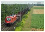 1116 128 am 4.8.2006 mit einem Kohlenstaubzug kurz vor Ebenfurth.