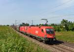 1116 068 + 1116 062 mit einem Audizug nach Gyr am 07.08.2013 bei Plattling.