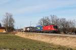 1116 276 mit KLV Zug am 08.02.2014 bei Bernau.