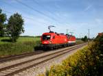 Die 1116 196 und die 1144 242 am 14.08.2011 unterwegs bei Hilperting.