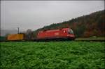 ÖBB 1116 276-7 mit einen Containerzug bei Haarbach zu sehen am 11.11.14.