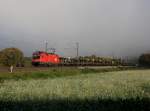 Die 1116 087 mit einem leeren Autozug am 11.10.2012 unterwegs bei Himmelstadt.