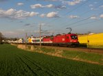 Die 1116 196 und die 1144 270 mit einem RoLa am 16.04.2016 unterwegs bei Rohr im Kremstal.
