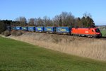 Noch ein gepflegter Stier an der bekannten Stelle bei Wernhardsberg: ÖBB 1116.121 hat den LKW-Walter Ganzzug KT 42177 von Hamburg Billwerder nach Verona Q.E.