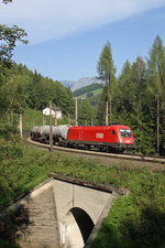 1116.161 fährt mit GAG-91023 bei Breitenstein am 10.9.16 bergwärts.