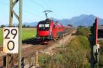 1116 230 im Abendlicht unterwegs nach Salzburg - Bernau - 09/09/2012