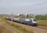 Gerade rechtzeitig bei der Durchfahrt der 1116 038 ist  die Sonne herausgekommen.Katzbach 23.10.2010