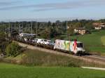 Die 1116 130 mit einem Gterzug am 13.10.2013 unterwegs bei Teisendorf.