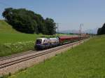 Die 1116 250 mit einem RJ am 05.06.2015 unterwegs bei Straß.