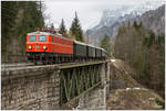 1141.21 der ÖGEG fährt mit dem SR 14486 von Eisenerz nach Admont durch das Gesäuse und das Erzbachtal. 
Ennsbrücke Krumau 17.03.2018