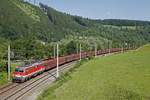 1142 587 mit GZ47407 in Bruck an der Mur Übelstein am 13.06.2017.