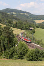 Leider geht die schöne Fotostelle bei der Steinbauer-Wiese in der Früh nur mehr von ganz oben,wie hier mit 1142.651+1144.059 mit G-54507 am 22.6.17