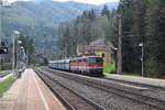 1142 595 und eine zweite 1142 ziehen einen Güterzug über den Semmering, hier in Breitenstein beim Semmering. 11.4.17