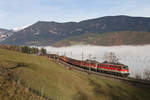 Bei der Apfelwiese am Eichberg fahren im Sonnenschein 1142.625+655 mit G-54703 ,während sich im Tal der dichte Nebel noch hält.