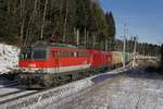 1142 643 + 1016 019 mit Güterzug bei Steinhaus am 6.12.2017.