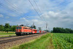 1142 682 mit einem REX am 09.06.2018 bei Riedau.